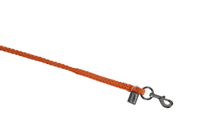 Longe REGULAR swivel hook
