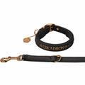 Image for Eskadron Platinum 23 Dog Collar and Leash