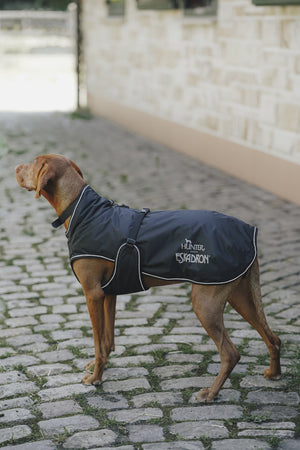 Manteau d'hiver 2-en-1 pour chien VARIO HUNTER x Eskadron — en situation