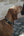 Collier pour chien SPARK HUNTER x Eskadron — en situation