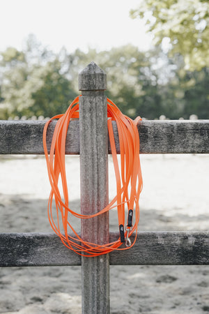 Longe de pistage 12 m pour chien SPARK TRACKING HUNTER x Eskadron — en situation
