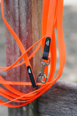 Longe de pistage 12 m pour chien SPARK TRACKING HUNTER x Eskadron — en situation