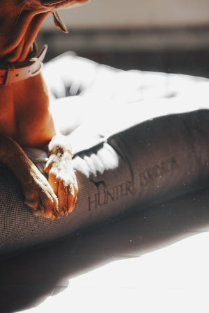 Lit matelassé pour chien CHESTER HUNTER x Eskadron — en situation