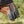 Woof Wear – Frange de museau Field Relief Equilibrium Black | Sellerie Bucéphale