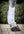 Woof Wear – Guêtres de travail Training Wrap Woof Wear Blanc 3 | Sellerie Bucéphale