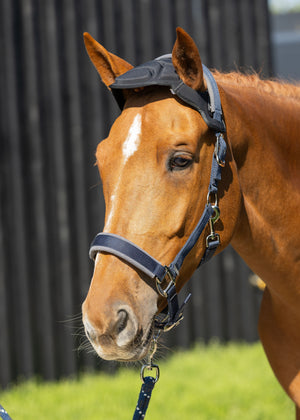 Nackenschutz Woof Wear