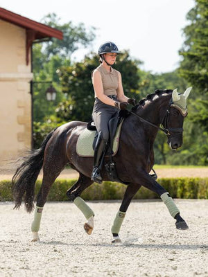Le Mieux – Tapis de Dressage Suede Square LeMieux fern  | Sellerie Bucéphale