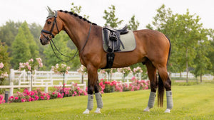 Le Mieux – Tapis de Dressage Suede Square LeMieux fern | Sellerie Bucéphale