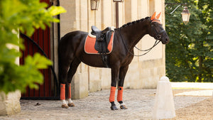 Le Mieux – Tapis de Dressage Suede Square LeMieux Apricot  | Sellerie Bucéphale