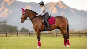 LeMieux Loire Dressuurzadeldekje