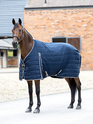 Couverture de récupération LeMieux Kudos Hybrid coloris Navy portée par un cheval bai