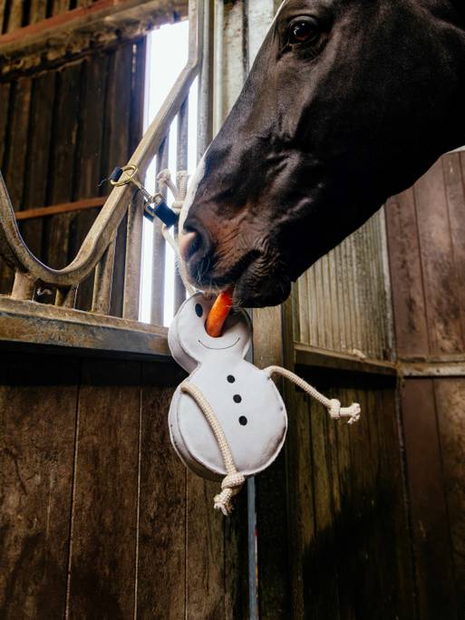 Jouet pour cheval Snowman par LeMieux