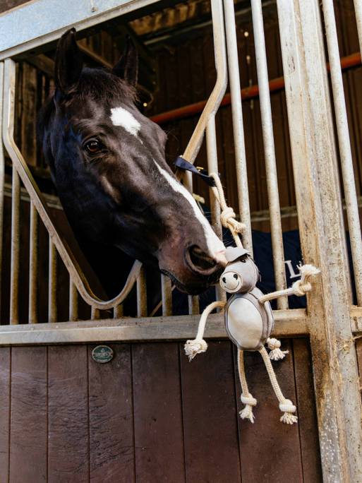 Jouet pour cheval Donkey par LeMieux