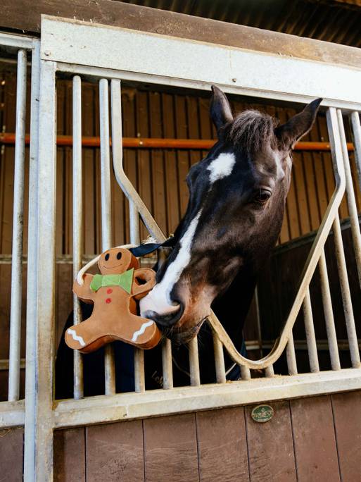 Jouet pour cheval Gingerbread LeMieux