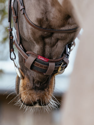 Protection de muserolle LeMieux Brown en situation