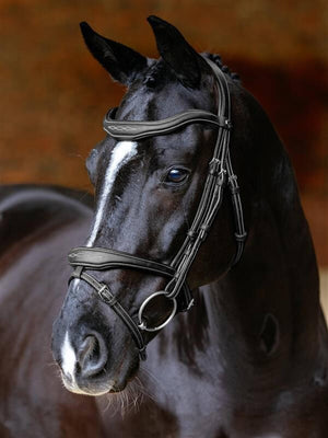 Bridon Contour Flash Kudos LeMieux