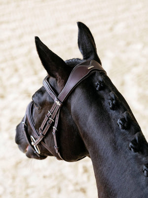 Bridon Contour Flash Kudos LeMieux