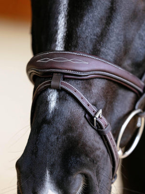 Bridon Contour Flash Kudos LeMieux