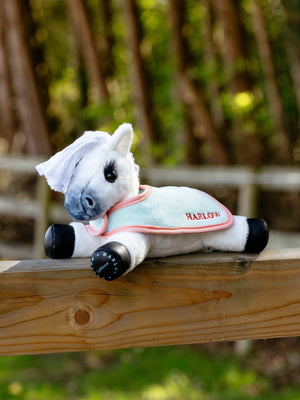 Couvertures Harlow Tiny Pony Mint/Coral Crush Bluetopaz en situation