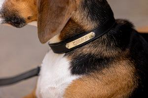 Collier et laisse en cuir souple Eskadron