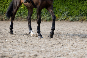 Guetres anterieures Eskadron Basics en situation