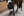 Licol Classic Sport Eskadron mouton en situation