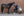 Licol Faux-Fur Double Pin Eskadron Core en situation