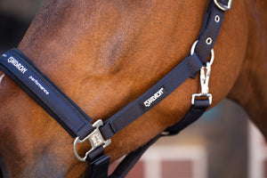 Licol Pin Buckle Basics Eskadron en situation