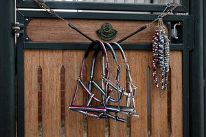 Licol Pin Buckle Basics Eskadron en situation