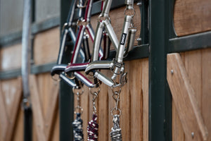 Licol Pin Buckle Basics Eskadron en situation