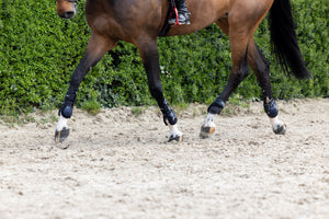 Protege-boulets Eskadron Pro Flex Classic en situation