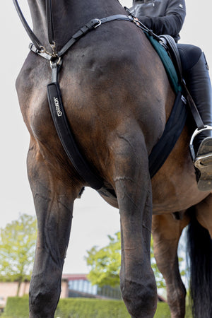 Protege-martingale Eskadron Neoprene Cover en situation