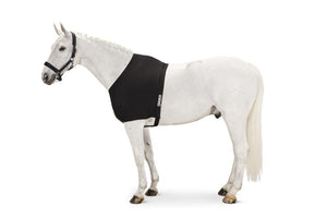 Protege-poitrail Eskadron Chest Protector Core