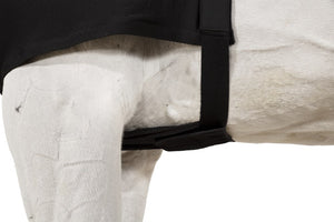 Protege-poitrail Eskadron Chest Protector Core