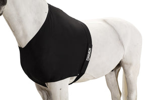 Protege-poitrail Eskadron Chest Protector Core