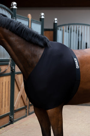 Protege-poitrail Eskadron Chest Protector Core en situation