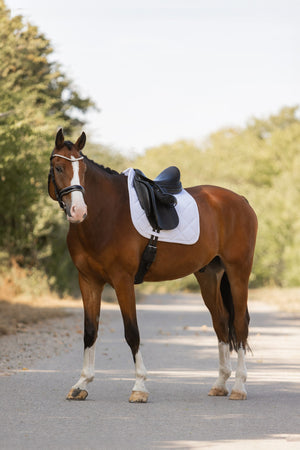 Tapis de selle Eskadron Pro Soft Core en situation