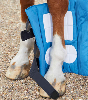 Woof Wear – Boot Wraps magnétiques Magni-Teque Premier Equine Black 3 | Sellerie Bucéphale