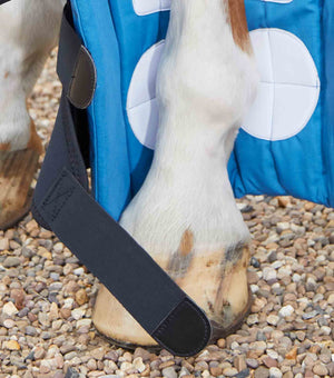 Woof Wear – Boot Wraps magnétiques Magni-Teque Premier Equine Black 4 | Sellerie Bucéphale