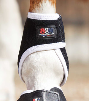 Woof Wear – Protège-boulets magnétiques Magni-Teque Premier Equine Black 4 | Sellerie Bucéphale