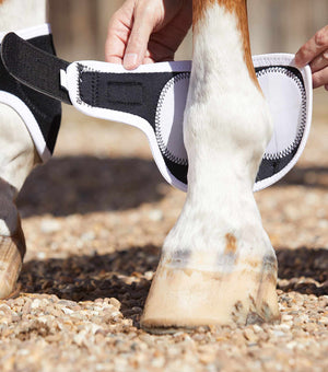 Woof Wear – Protège-boulets magnétiques Magni-Teque Premier Equine Black 3 | Sellerie Bucéphale