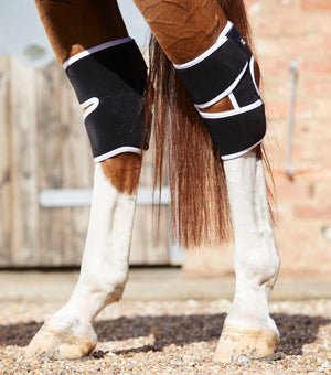 Woof Wear – Protège-jarrets magnétiques Magni-Teque Premier Equine Black | Sellerie Bucéphale