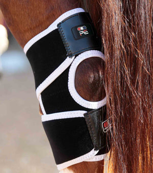 Woof Wear – Protège-jarrets magnétiques Magni-Teque Premier Equine Black 4 | Sellerie Bucéphale