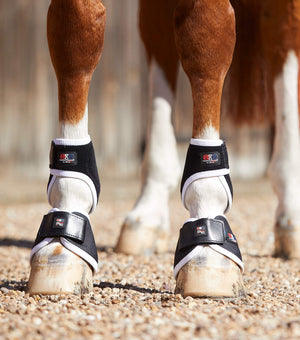 Woof Wear – Protège-sabots magnétiques Magni-Teque Premier Equine Black 2 | Sellerie Bucéphale