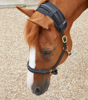 Woof Wear – Protège-nuque magnétique Magni-Teque Premier Equine Black 2 | Sellerie Bucéphale