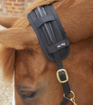Woof Wear – Protège-nuque magnétique Magni-Teque Premier Equine Black 3 | Sellerie Bucéphale
