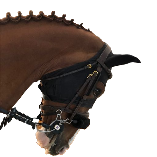 Kit de soins pour chevaux Surfante avec fourre-tout Belgium