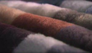 Peaux d'agneau Mattès roulées côte à côte dans plusieurs coloris, la densité de la laine bien visible.