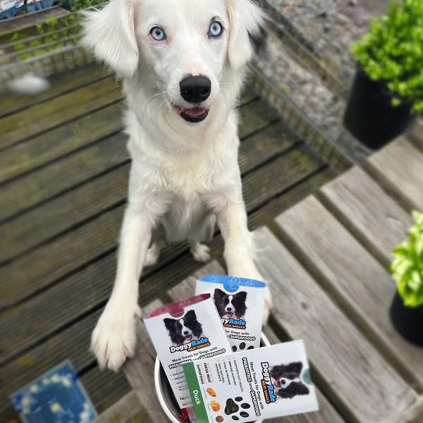 Ente Duck Leckereien für Hunde - Hündchen