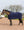 Couverture de récupération LeMieux Kudos Fleece bleu marine à l'écurie